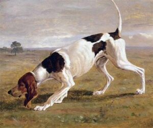 A Pointer in a Landscape by Jacques Laurent Agasse, hand-painted oil painting reproduction