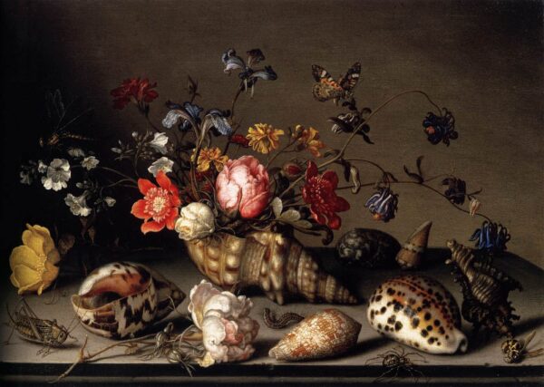 Still Life of Flowers, Shells, and Insects 1635 by Balthasar van der Ast, hand-painted oil painting reproduction