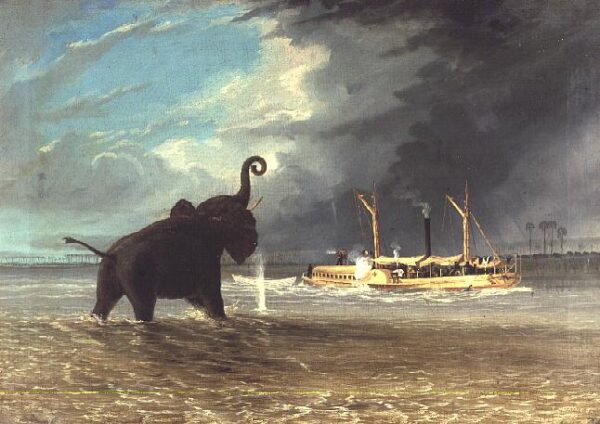 Ma Robert and Elephants in the Shallows of the Shire River 1858 by Thomas Baines, hand-painted oil painting reproduction