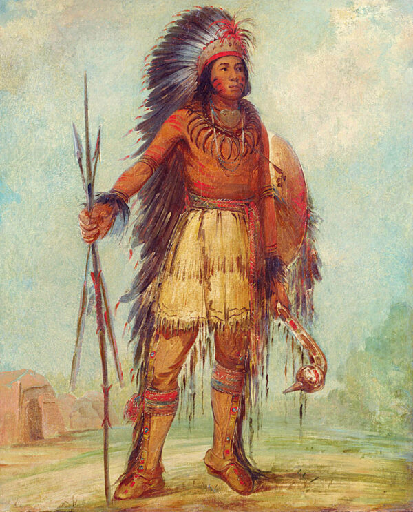 A wun ne wa be, Bird of Thunder by George Catlin, hand-painted oil painting reproduction