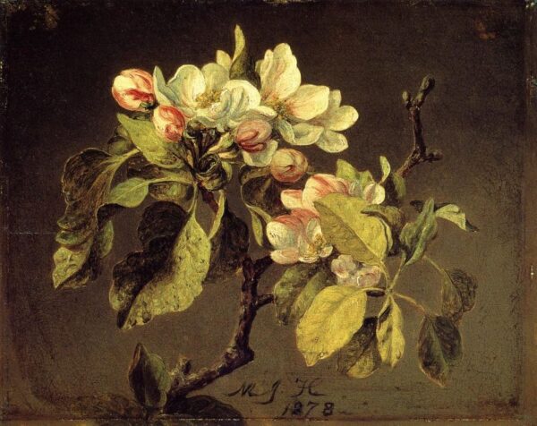 A Branch of Apple Blossoms and Buds by Martin Johnson Heade, hand-painted oil painting reproduction