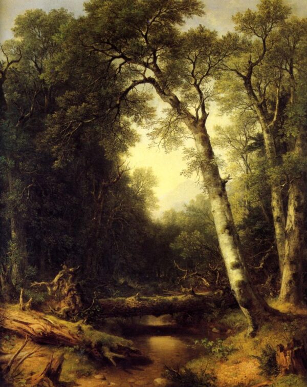 A Creek in the Woods by Asher B Durand, hand-painted oil painting reproduction