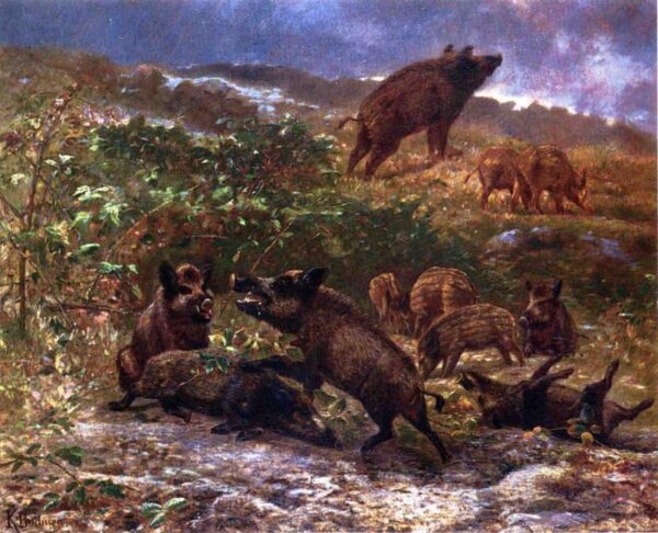 A Family of Wild Boar by Karl Bodmer, hand-painted oil painting reproduction