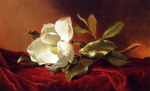 A Magnolia on Red Velvet by Martin Johnson Heade, hand-painted oil painting reproduction