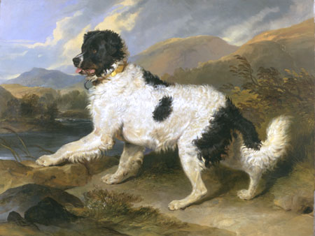 A Newfoundland Dog by Sir Edwin Landseer, hand-painted oil reproduction