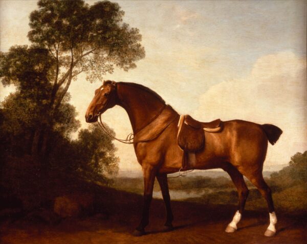 A Saddled Bay Hunter by George Stubbs, hand-painted oil painting reproduction