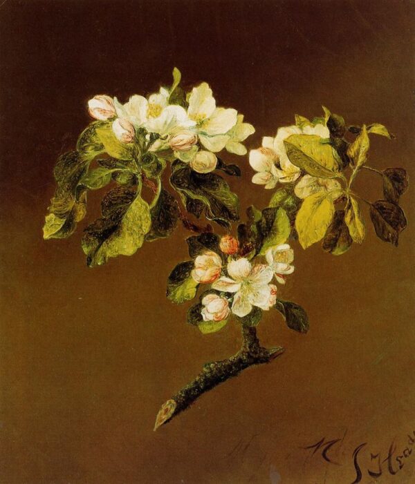 A Spray of Apple Blossoms by Martin Johnson Heade, hand-painted oil painting reproduction