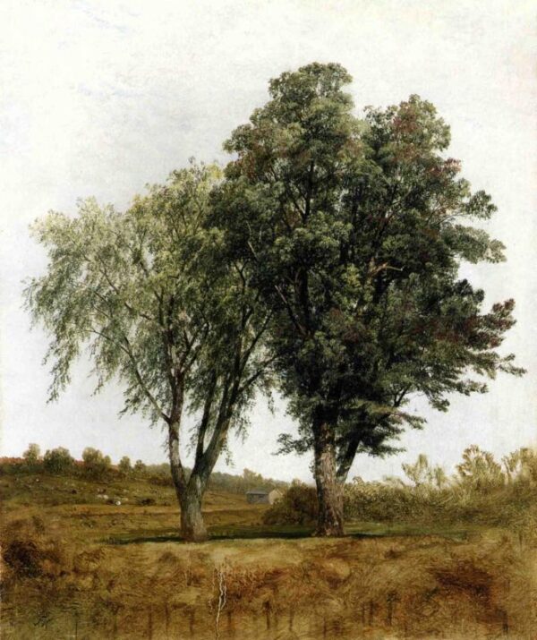 A Study of Trees by John Frederick Kensett, hand-painted oil painting reproduction