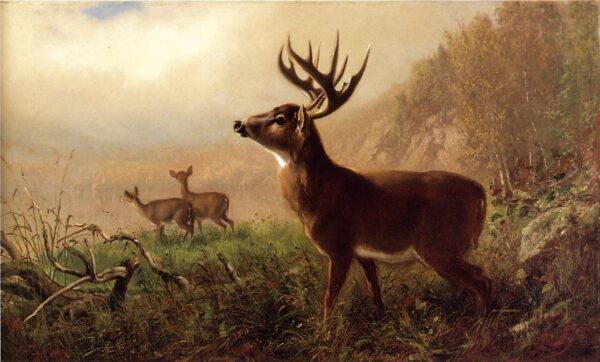 A Tempting Shot by Arthur Fitzwilliam Tait, hand-painted oil painting reproduction