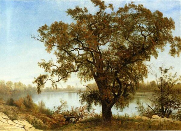 A View from Sacramento by Albert Bierstadt, hand-painted oil reproduction
