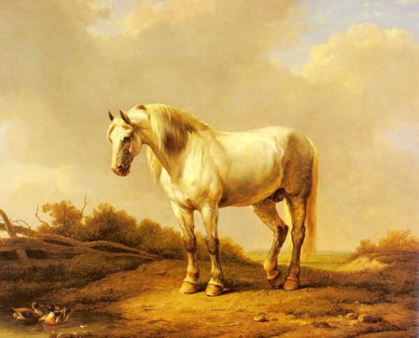 A White Stallion In A Landscape by Eugène Verboeckhoven, hand-painted oil painting reproduction