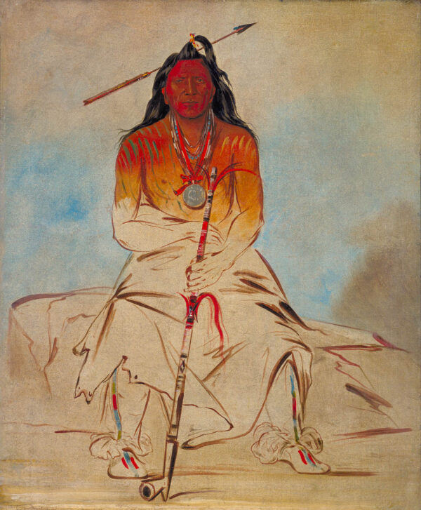Ah shaw wah rooks te, Medicine Horse, a Grand Pawnee Brave by George Catlin, hand-painted oil reproduction