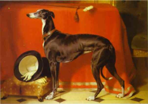 Eos, A Favorite Greyhound, The Property Of H. R. H. Prince Albert by Sir Edwin Landseer, hand-painted oil painting reproduction