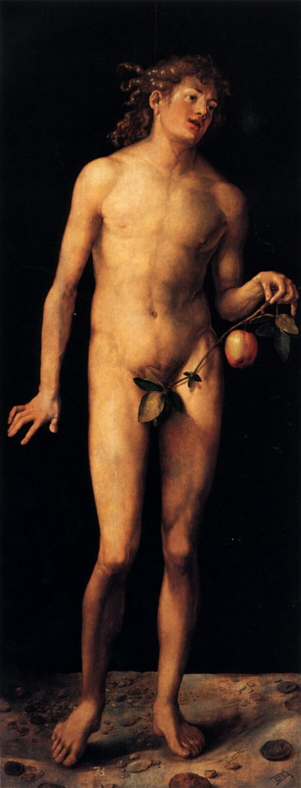 Adam by Albrecht Dürer, hand-painted oil painting reproduction
