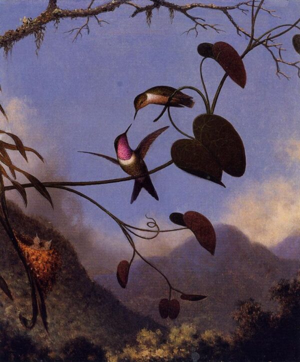 Amethyst Woodstar by Martin Johnson Heade, hand-painted oil painting reproduction