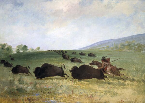 An Osage Indian Lancing a Buffalo by George Catlin, hand-painted oil painting reproduction