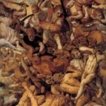 Frans Floris
