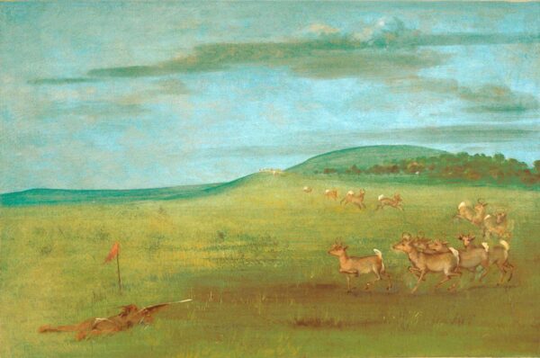 Antelope Shooting, Decoyed Up by George Catlin, hand-painted oil painting reproduction