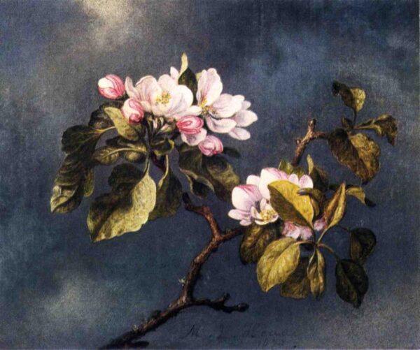 Apple Blossoms by Martin Johnson Heade, hand-painted oil painting reproduction