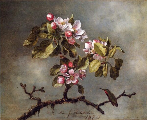 Apple Blossoms and Hummingbird II by Martin Johnson Heade, hand-painted oil reproduction