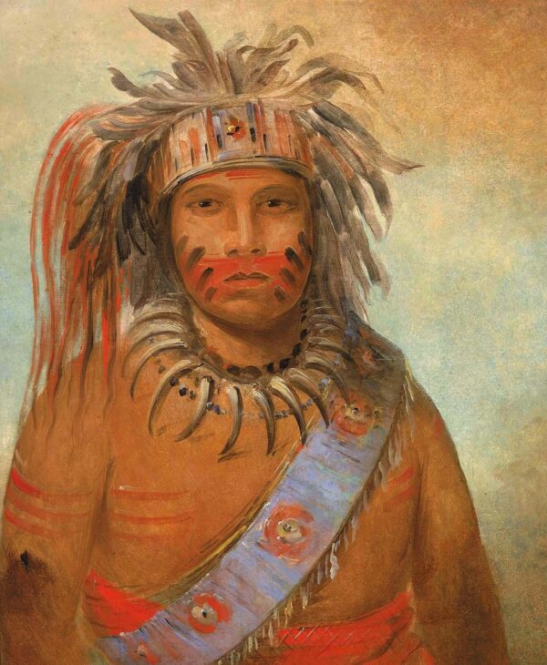 Au nim muck kwa um, Tempest Bird by George Catlin, hand-painted oil painting reproduction