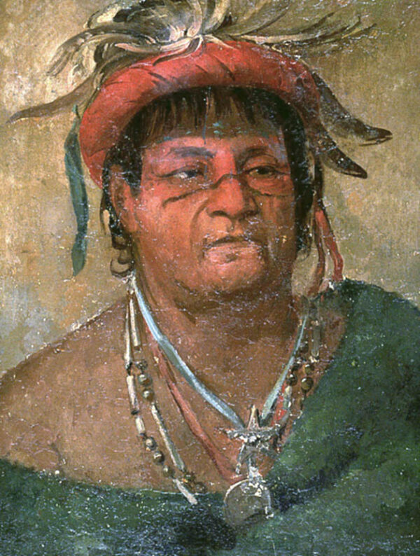 Auh ka nah paw wah, Earth Standing, an Old and Valiant Warrior by George Catlin, hand-painted oil painting reproduction