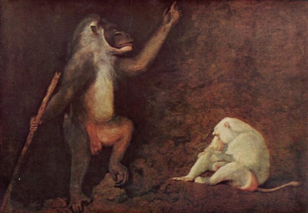 Baboon and White Macaque by George Stubbs, hand-painted oil painting reproduction