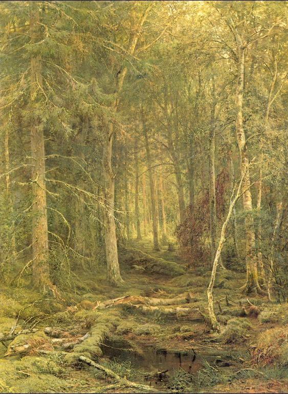 Backwoods by Ivan Shishkin, hand-painted oil reproduction