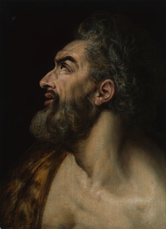 Study Head of a Bearded Man by Frans Floris, hand-painted oil reproduction