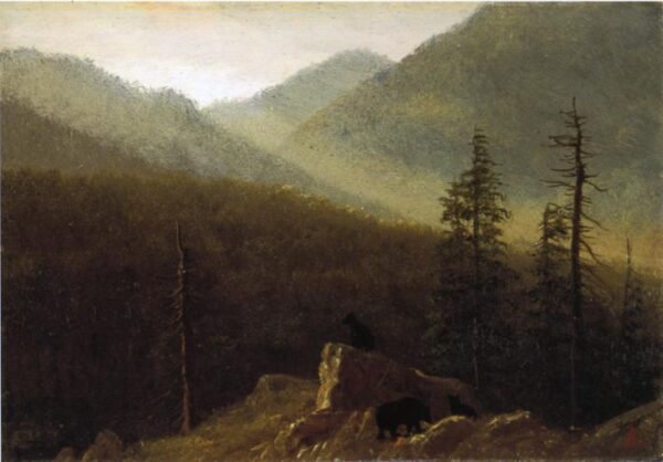 Bears in the Wilderness by Albert Bierstadt, hand-painted oil painting reproduction