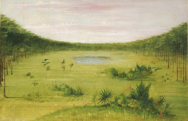 Beautiful Savannah in the Pine Woods of Florida by George Catlin, hand-painted oil painting reproduction