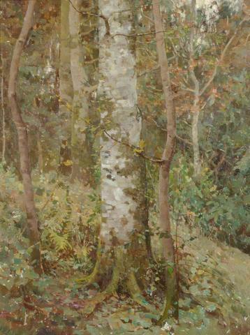 Beech Bole by Benjamin Haughton, hand-painted oil reproduction