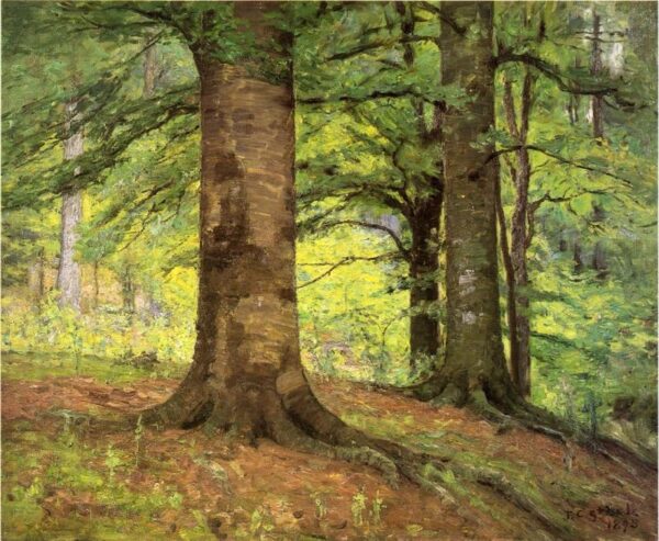 Beech Trees by Theodore Clement Steele, hand-painted oil painting reproduction
