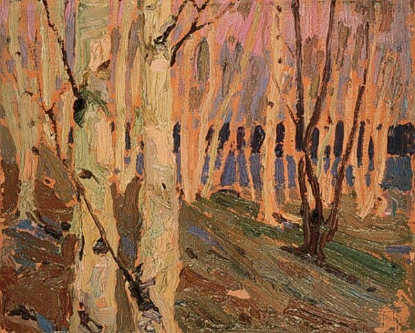Birch Grove by Tom Thomson, hand-painted oil painting reproduction