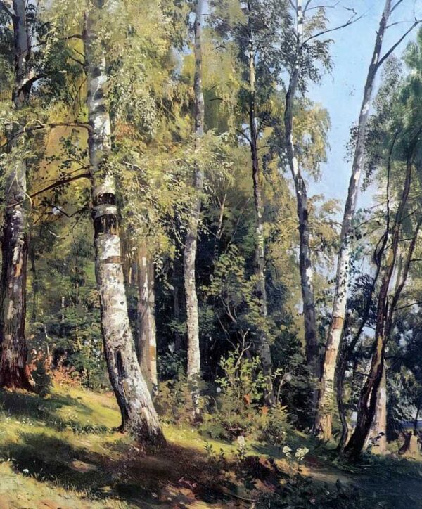 Birch Grove by Ivan Shishkin, hand-painted oil painting reproduction