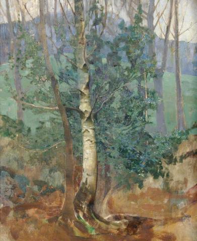 Birch Tree in a Field by Benjamin Haughton, hand-painted oil reproduction