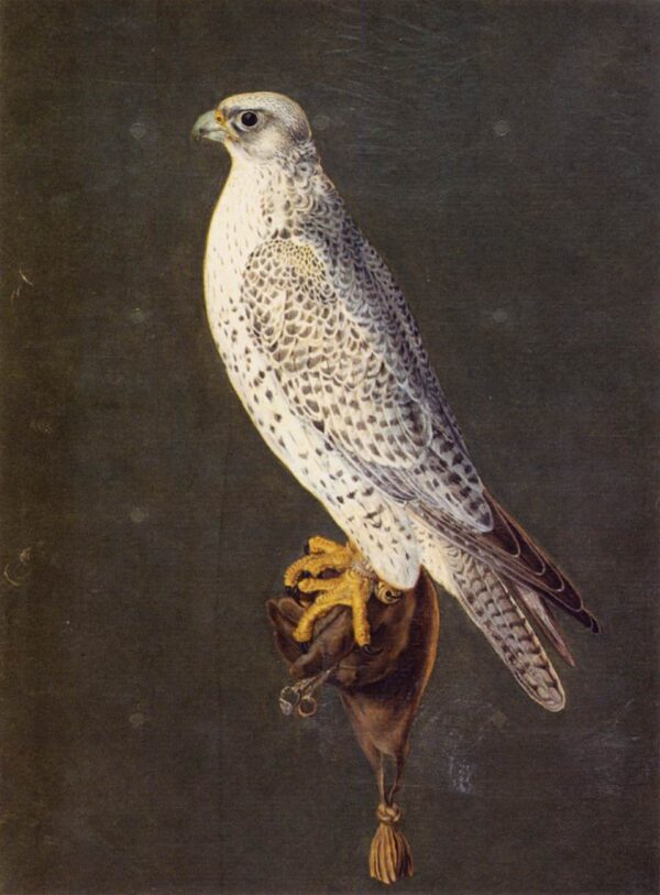 Bird by Giuseppe Arcimboldo, hand-painted oil painting reproduction