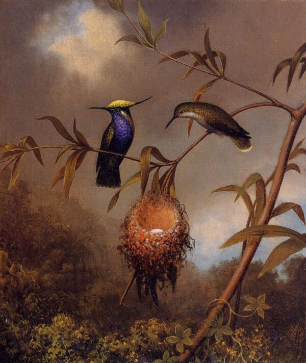 Black-Breasted Plovercrest by Martin Johnson Heade, hand-painted oil painting reproduction