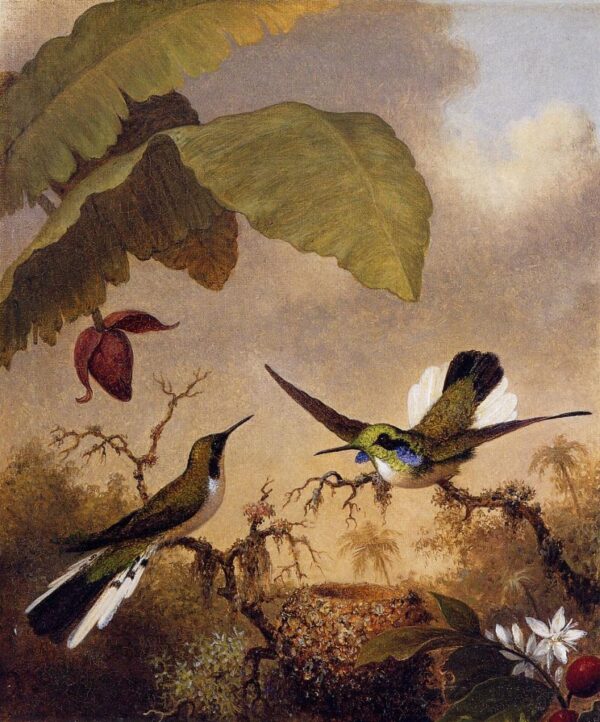 Black-Eared Fairy by Martin Johnson Heade, hand-painted oil painting reproduction