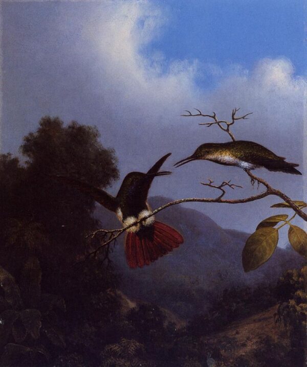 Black-Throated Mango by Martin Johnson Heade, hand-painted oil painting reproduction