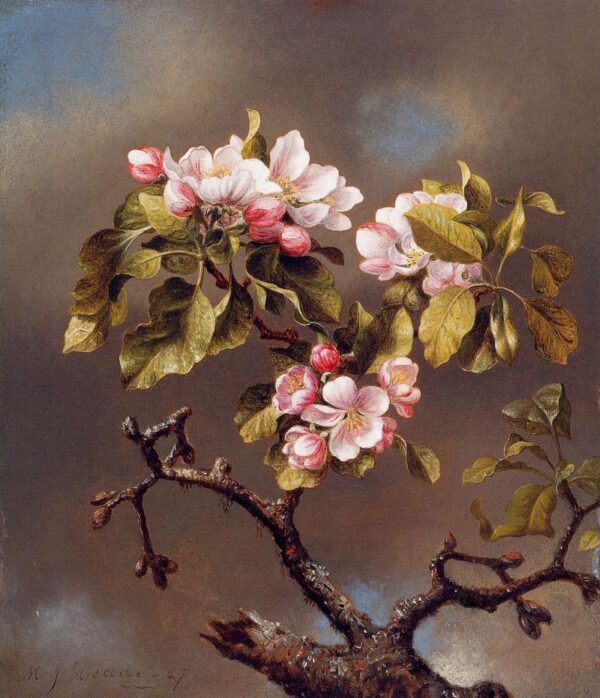 Branch of Apple Blossoms Against a Cloudy Sky by Martin Johnson Heade, hand-painted oil painting reproduction