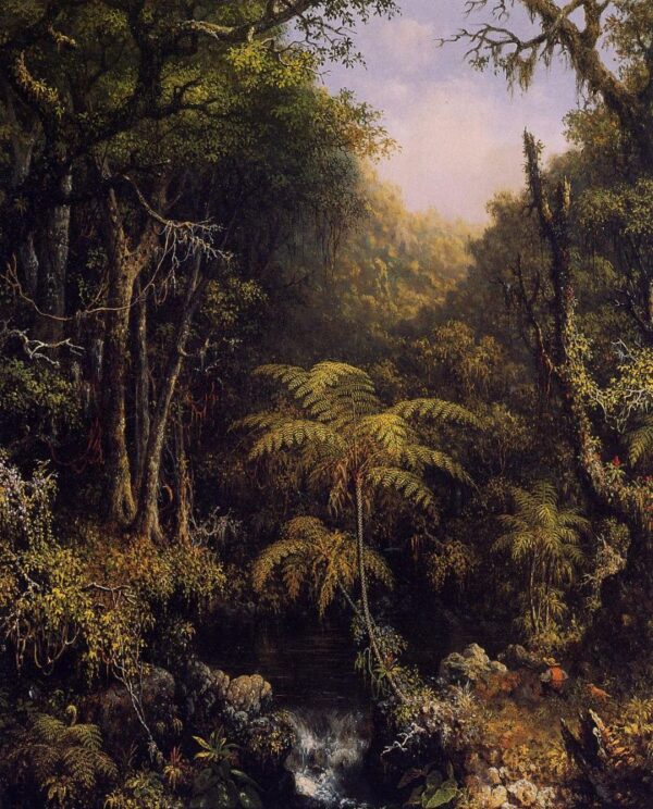 Brazilian Forest by Martin Johnson Heade, hand-painted oil painting reproduction