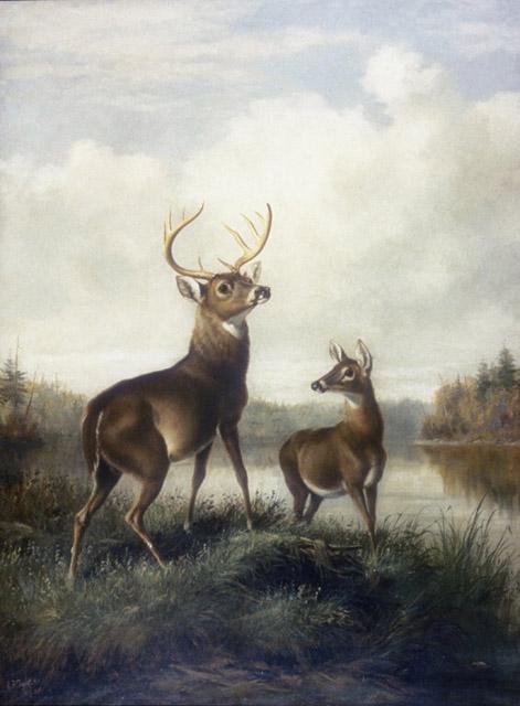 Buck and Doe by Arthur Fitzwilliam Tait, hand-painted oil reproduction