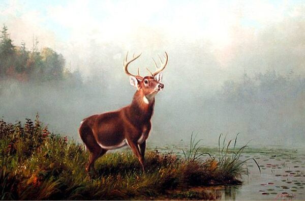 Buck at Bay by Arthur Fitzwilliam Tait, hand-painted oil painting reproduction