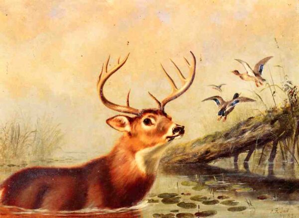 Buck in a Marsh by Arthur Fitzwilliam Tait, hand-painted oil painting reproduction