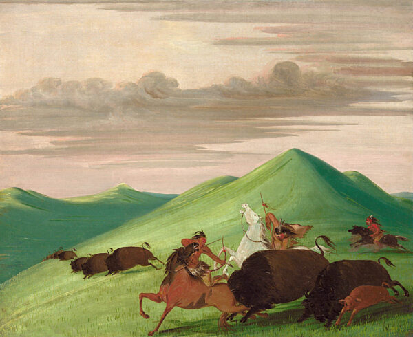 Buffalo Chase, Bull Protecting a Cow and Calf by George Catlin, hand-painted oil painting reproduction