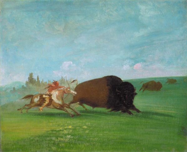 Buffalo Chase, a Single Death by George Catlin, hand-painted oil painting reproduction