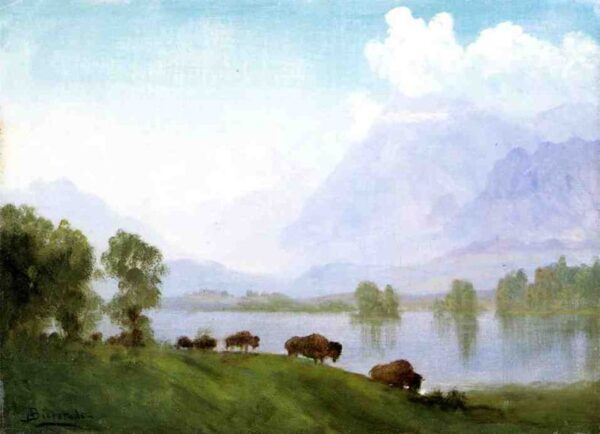 Buffalo Country by Albert Bierstadt, hand-painted oil painting reproduction