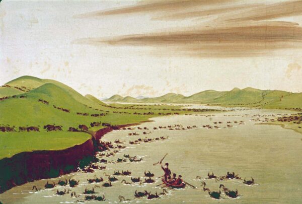 Buffalo Herds Crossing the Upper Missouri by George Catlin, hand-painted oil painting reproduction