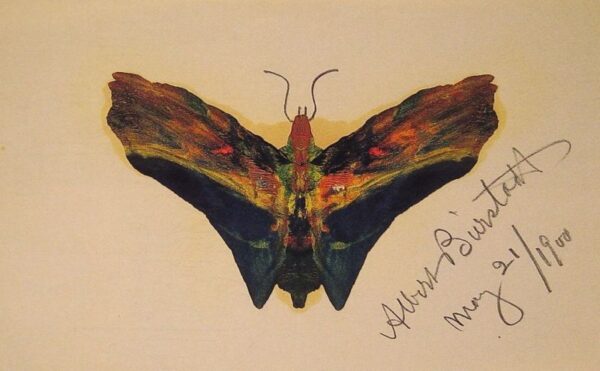 Butterfly by Albert Bierstadt, hand-painted oil painting reproduction